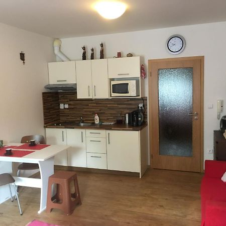 Apartman Na Pohodu 25 Daire Lipno nad Vltavou Dış mekan fotoğraf